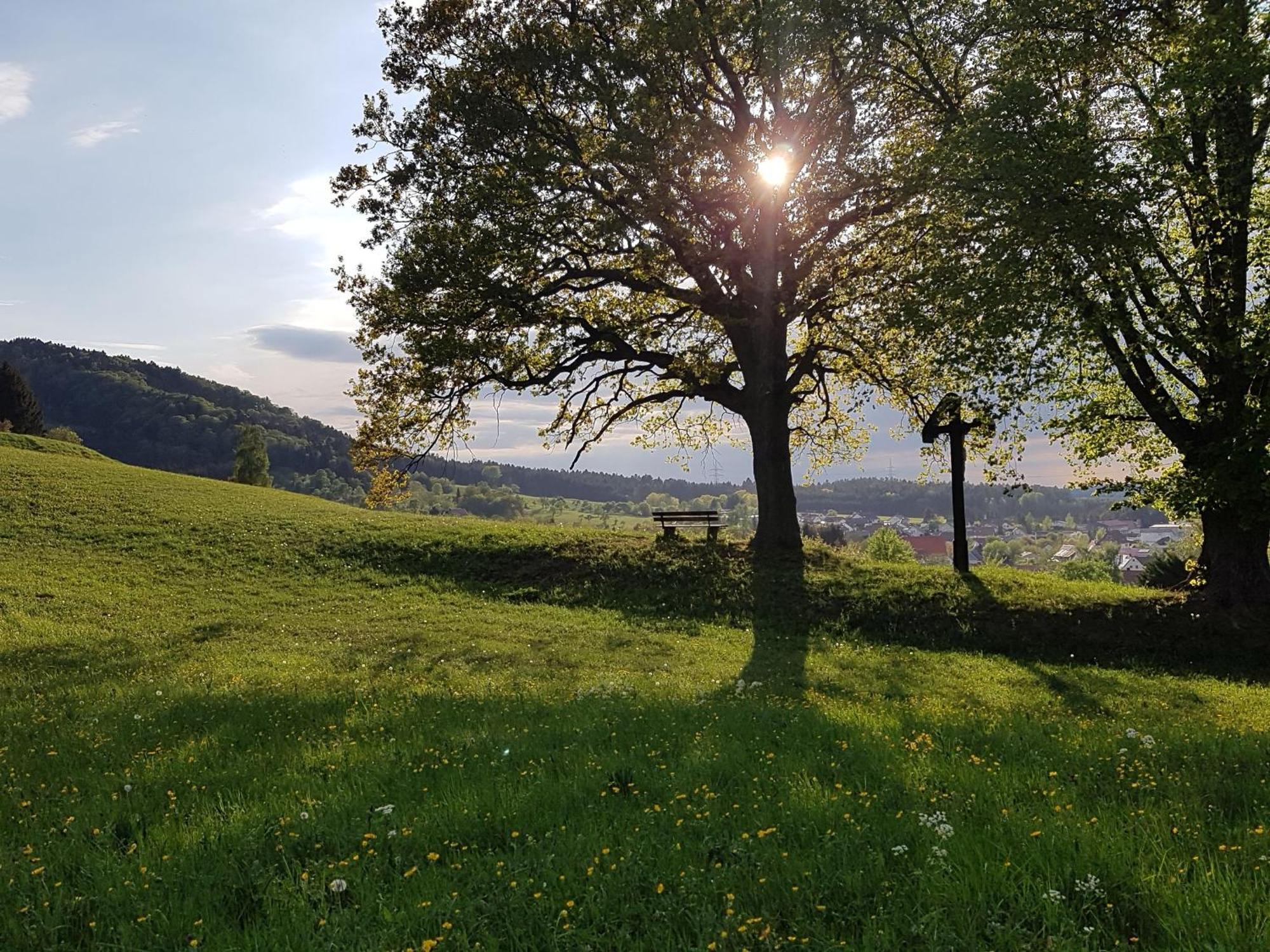 Ferienhaus Rosswangen Balingen Dış mekan fotoğraf